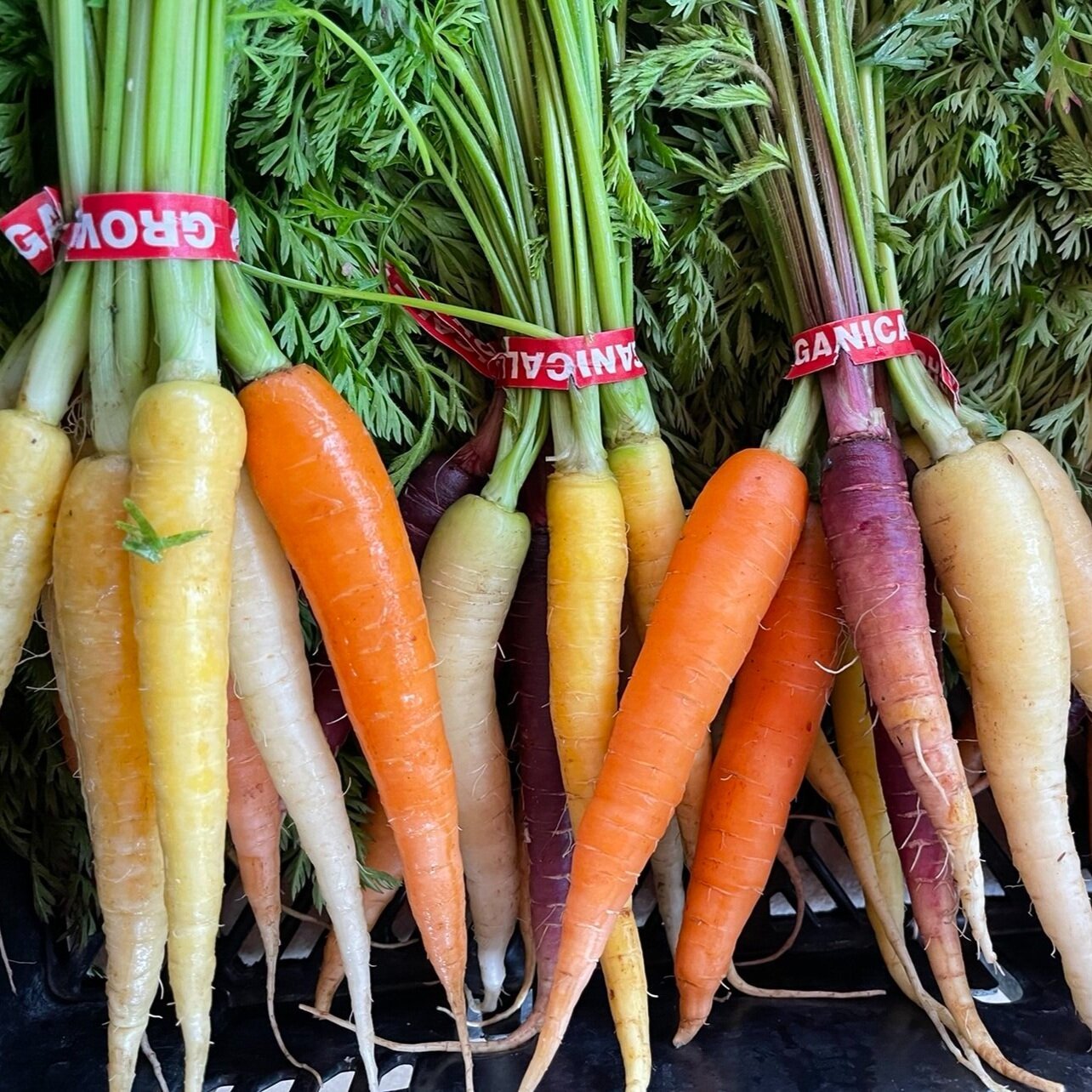 carrots+(1) Fresh farm eggs in a carton featuring various colors, including brown, white, and cream, resting on a rustic wooden surface. Ideal for cooking and baking.